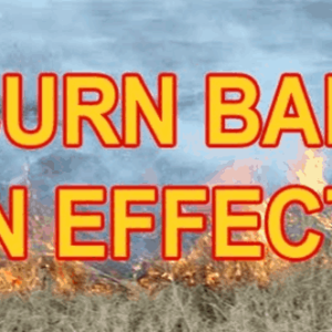 Burn Ban (Demo)